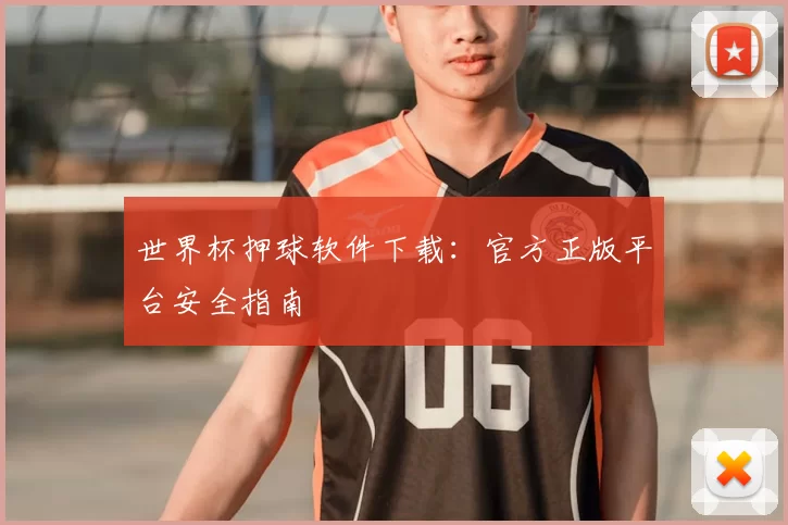 世界杯押球软件下载:官方正版平台安全指南