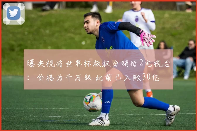 曝央视将世界杯版权分销给2电视台:价格为千万级 此前已入账30亿