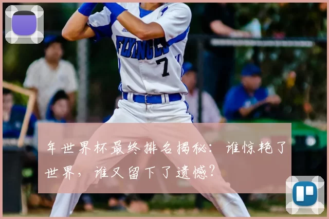 年世界杯最终排名揭秘：谁惊艳了世界，谁又留下了遗憾？