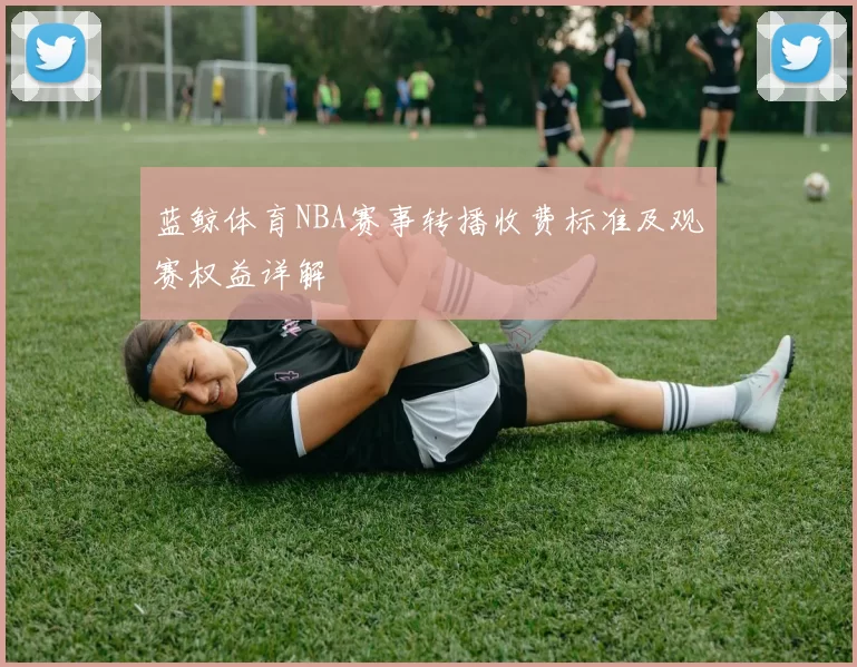 蓝鲸体育NBA赛事转播收费标准及观赛权益详解