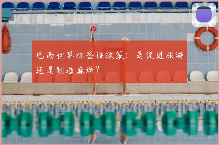 巴西世界杯签证政策：是促进旅游还是制造麻烦？