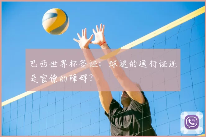 巴西世界杯签证:球迷的通行证还是官僚的障碍?