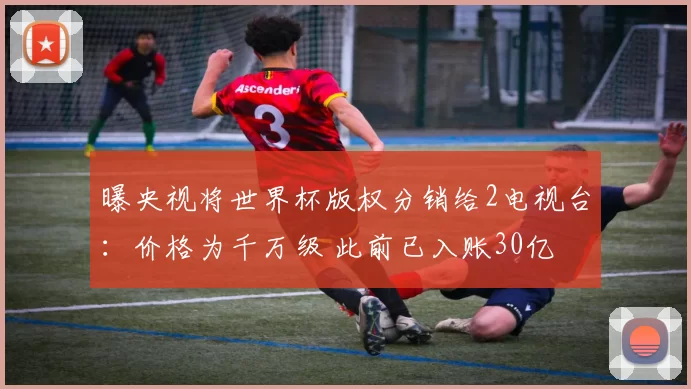 曝央视将世界杯版权分销给2电视台:价格为千万级 此前已入账30亿