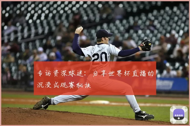 专访资深球迷：分享世界杯直播的沉浸式观赛秘诀