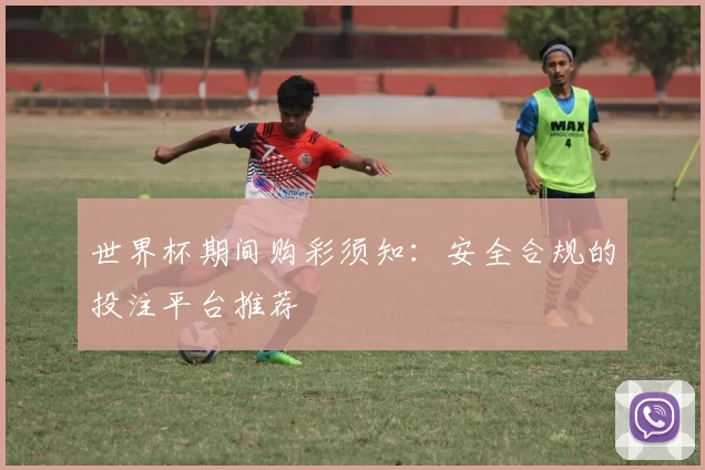 世界杯期间购彩须知：安全合规的投注平台推荐
