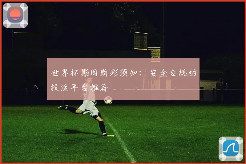 世界杯期间购彩须知:安全合规的投注平台推荐