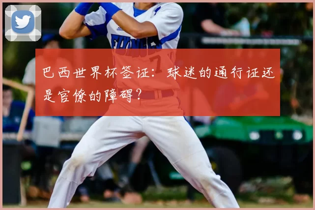巴西世界杯签证：球迷的通行证还是官僚的障碍？