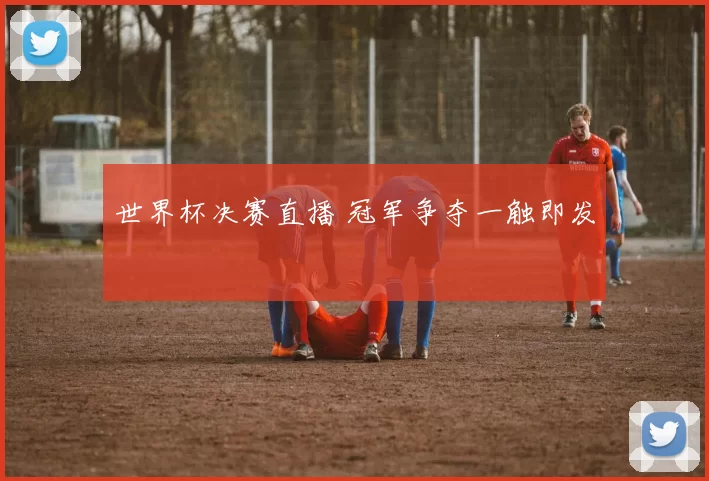 世界杯决赛直播 冠军争夺一触即发