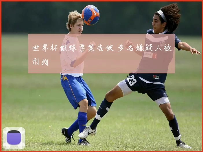 世界杯假球票案告破 多名嫌疑人被刑拘