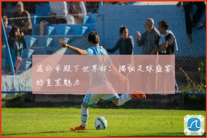 茜公举殿下世界杯：揭秘足球盛宴的皇室魅力