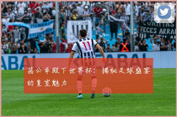 茜公举殿下世界杯：揭秘足球盛宴的皇室魅力